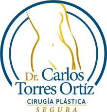 Logo-Torres-Ortiz-Plastica